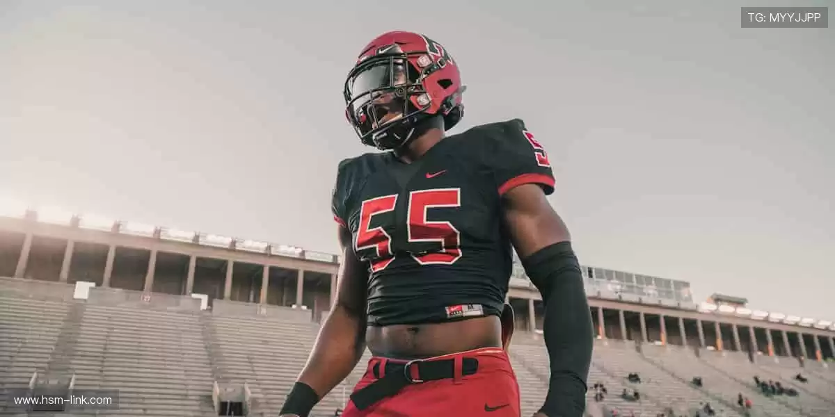 🌍全球体育，一网打尽！从赛场到生活，运动永不落幕✨